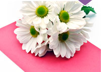 Buy a Gift Voucher